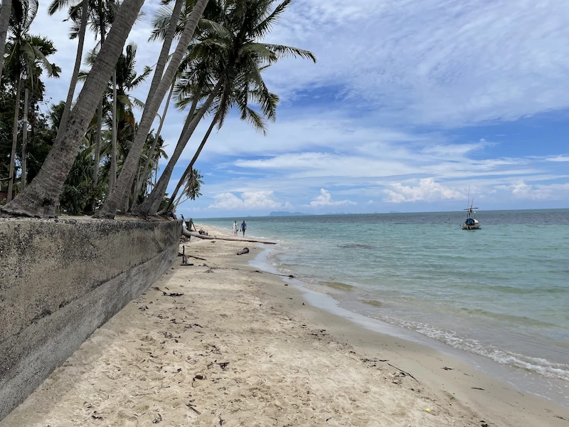 shore and coconut trees of Koh Chang