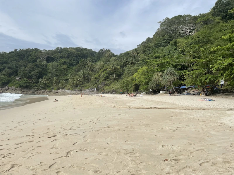shore and jungle of Koh Lanta