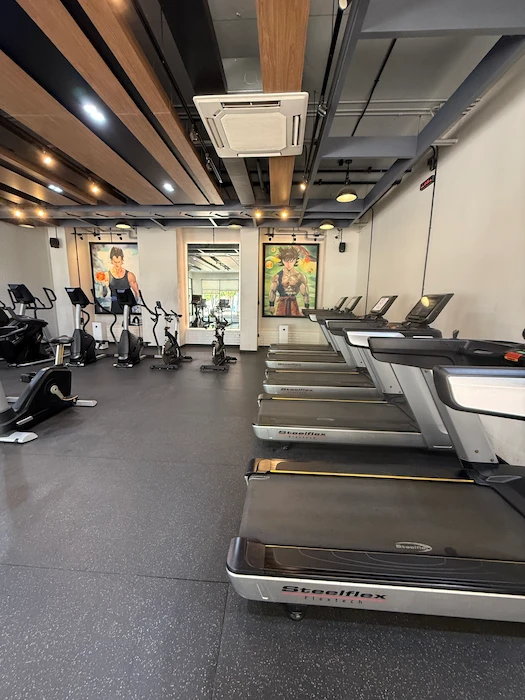 Picture taken inside of the ABSolute Gym in Chiang Mai, Thailand, showing the cardio equipment in the ground floor of the building.