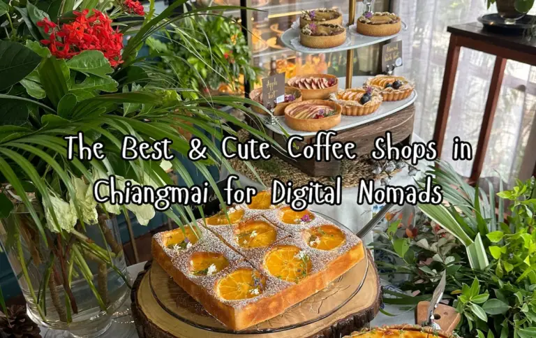 The Best Cute Coffee Shops in Chiang Mai for Digital Nomads (2026 Guide)