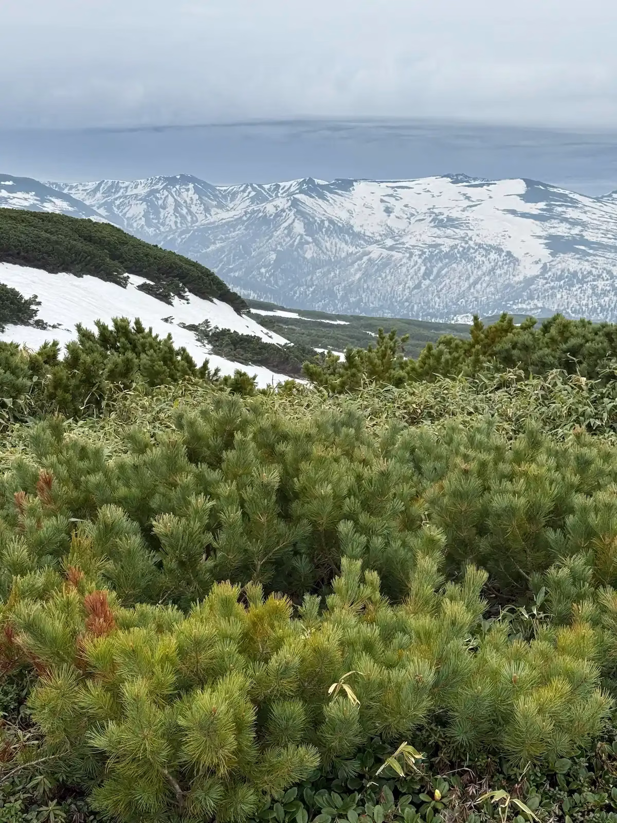 different seasons in one photo (view from the summit)