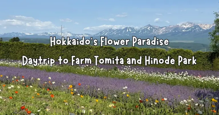 Hokkaido’s Flower Paradise: Daytrip to Farm Tomita and Hinode Park