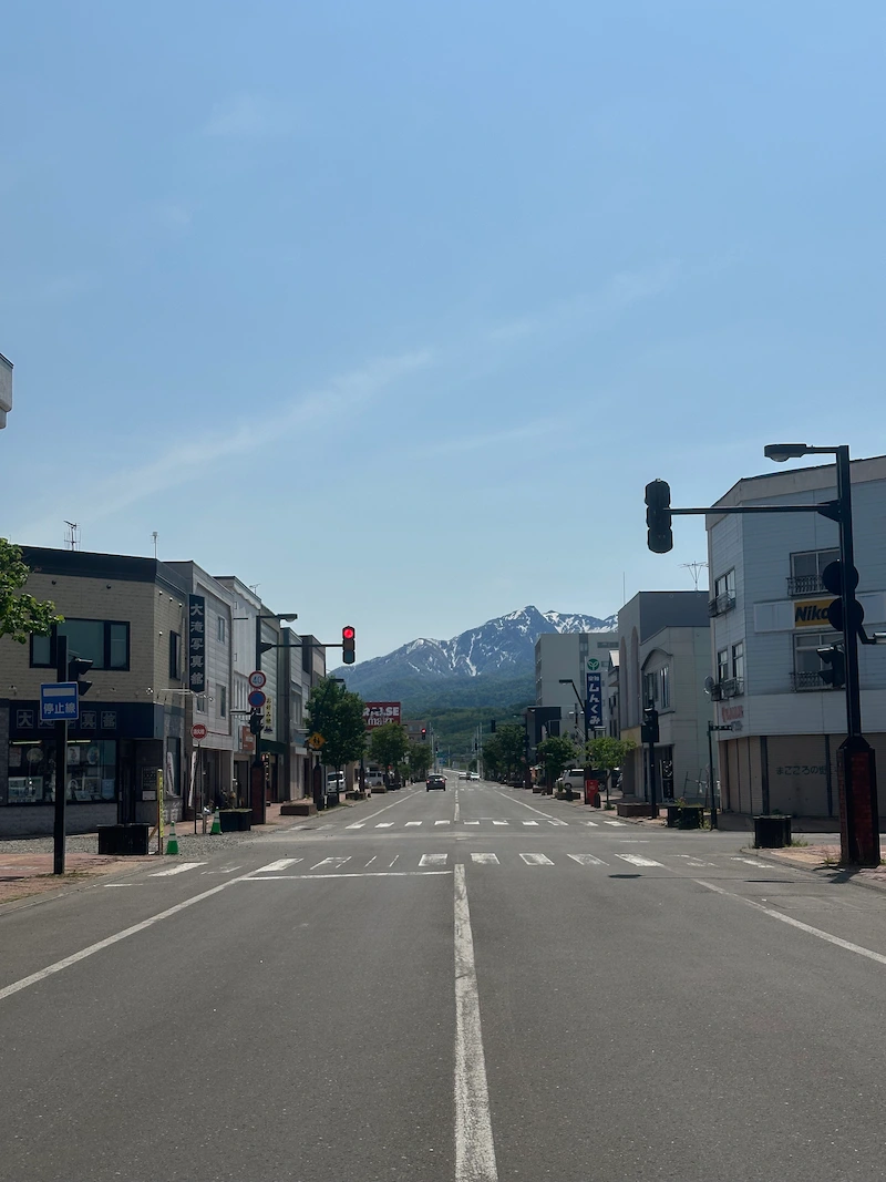 A scenic view of the city Furano, Hokkaido. In the background mountains.