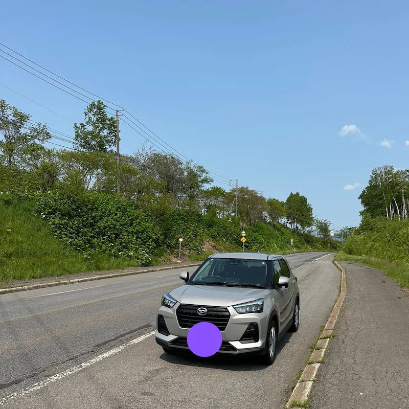 A gray car parked on the side of the road at daytime, plate number hidden with a purple paint