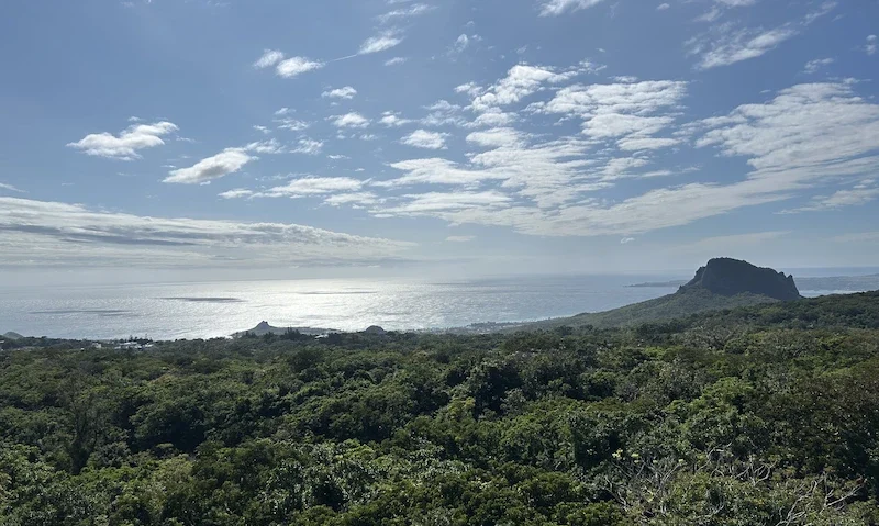 View from the lighthouse