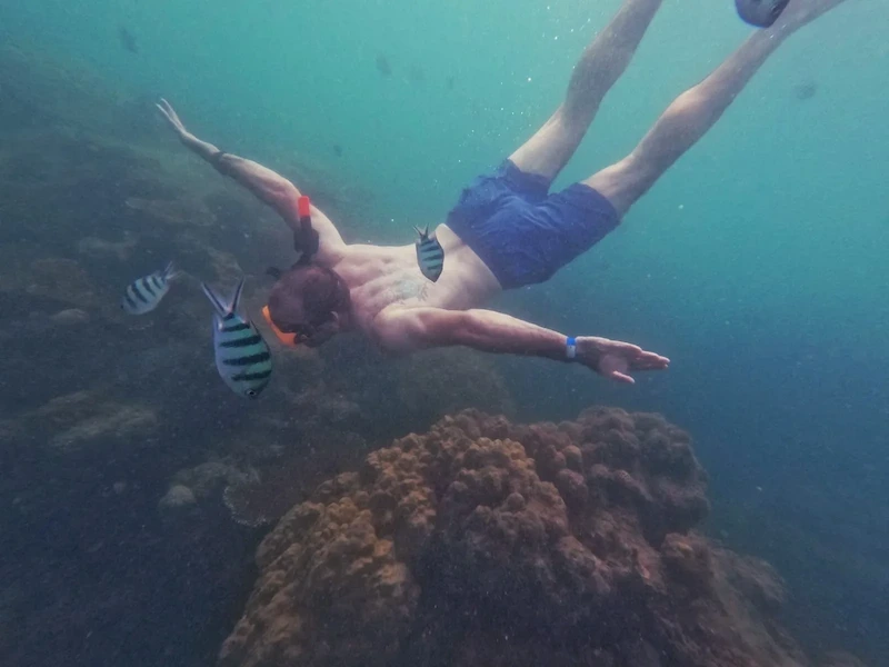 A solo traveler snorkeling in the clear blue water around Koh Samet, viewing marine life.