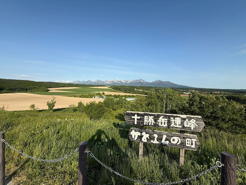 View of the mountain range from Hinode Park
