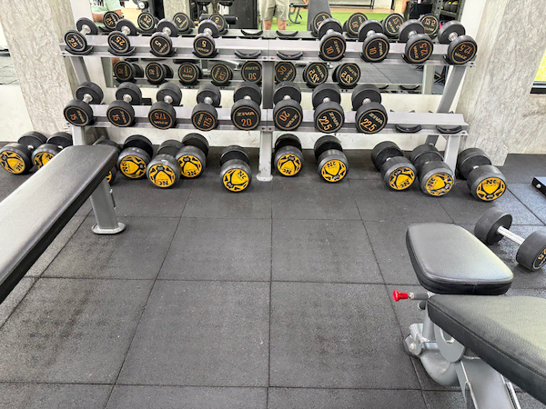 A close-up of a dumbbell rack at Get Well Fitness gym. The two-tiered rack holds a full set of Ziva dumbbells in various weights, neatly arranged. In front of the rack, on the black rubber mat flooring, are more pairs of dumbbells and two adjustable workout benches.