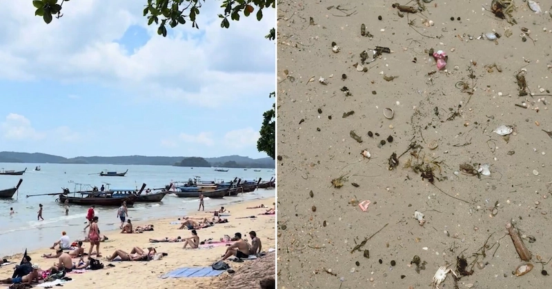 A split image contrasting a wide shot of a busy Ao Nang beach with a close-up of the sand, which is littered with seaweed and small pieces of plastic trash.