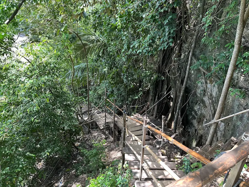 A rustic, slightly dilapidated wooden staircase and walkway winds through the dense jungle along the Monkey Trail in Krabi.