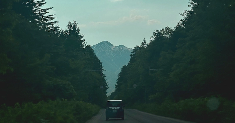 A moody view from the car driving down a straight, tree-lined road in Hokkaido with a majestic mountain peak visible in the distance.