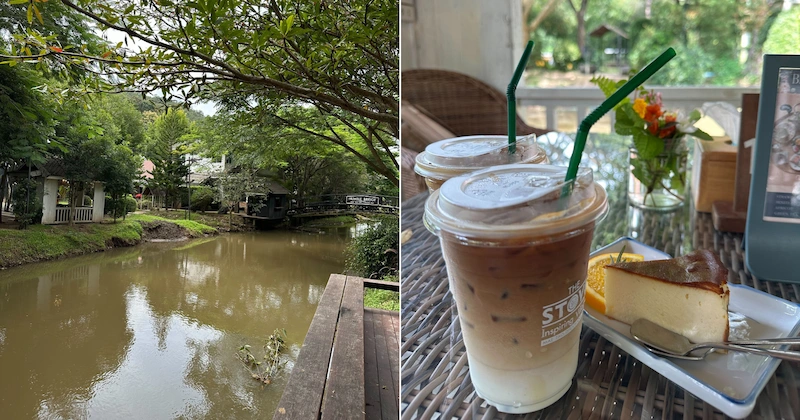 Two iced lattes and a slice of cheesecake on a table at The Stove House, with a view of the river and garden in the background.