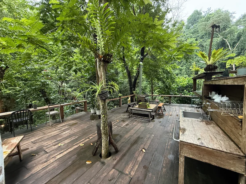 A spacious wooden terrace surrounded by lush jungle greenery, featuring a rustic outdoor sink area and a tree growing directly through the deck floor.