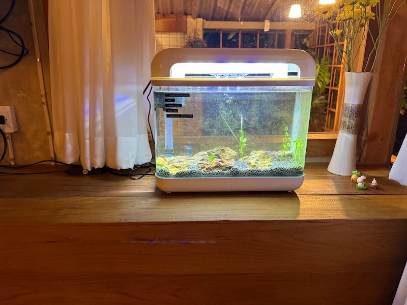 A modern, illuminated aquarium with small fish acting as a night light inside the cozy wooden room at Woo Ma Ca Moo.